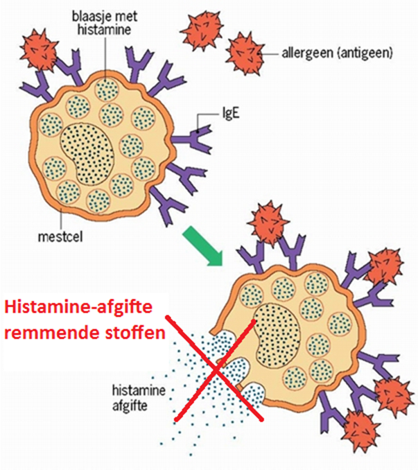 1. Histamineafgifteremmende stoffen