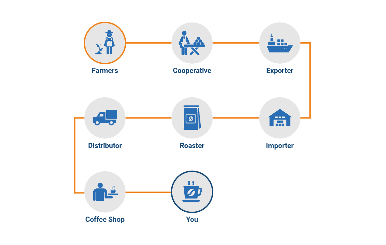 Role of Logistics in the Global Coffee Supply Chain | Zhenhub