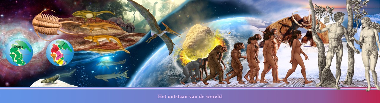 geschiedenis tijdlijn