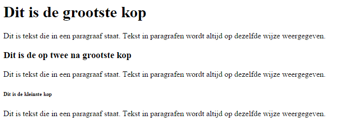 headings en paragraphs website
