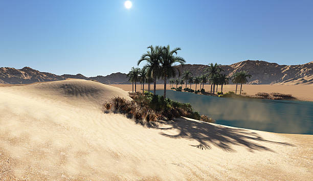 Zomaar midden in de woestijn...