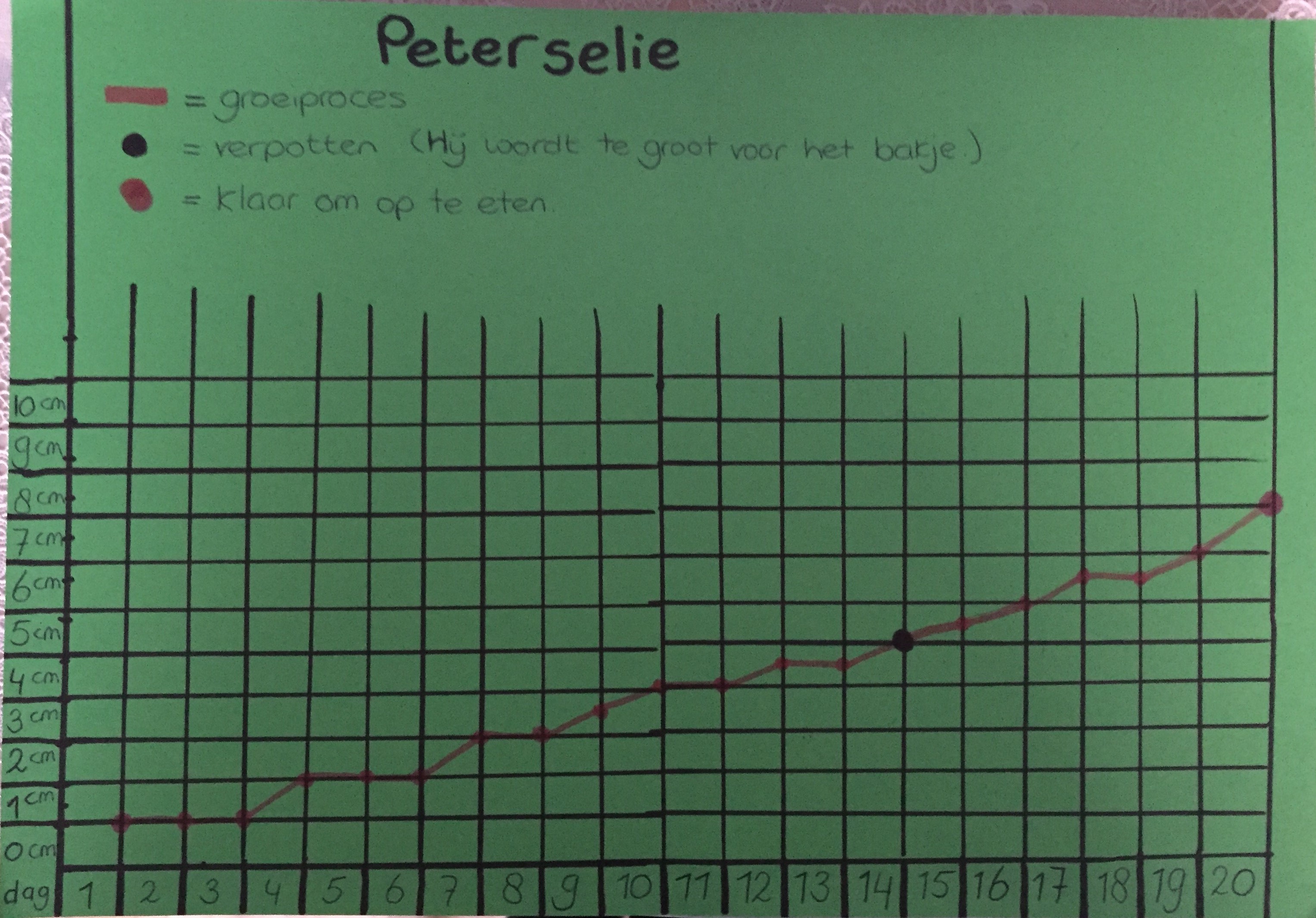 Groeiproces Bijhouden In Een Grafiek Wikiwijs Maken