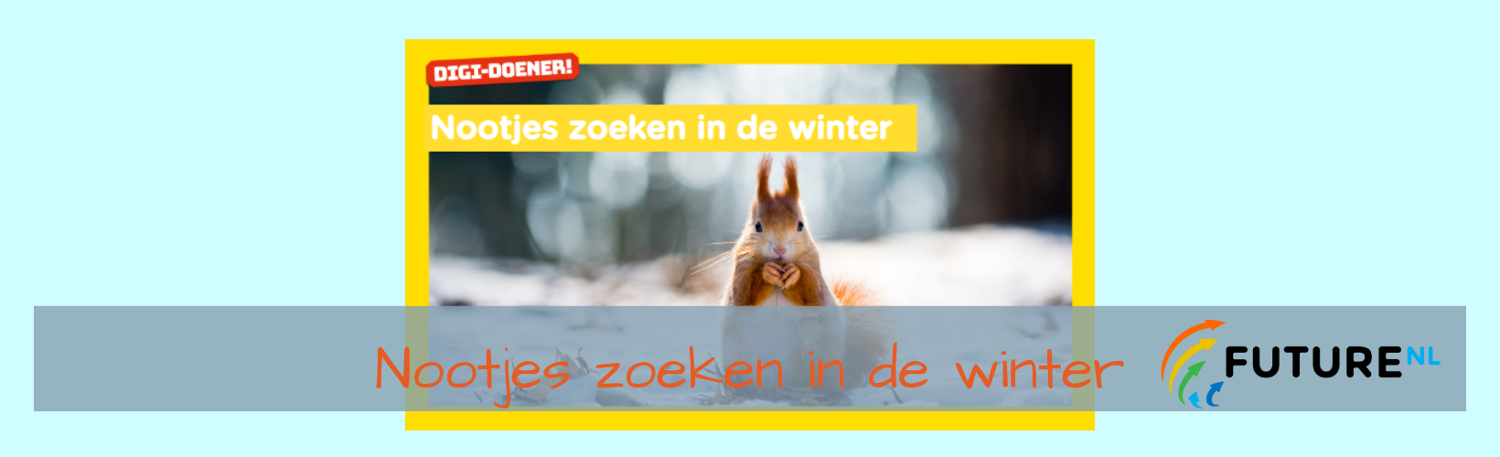 Nootjes zoeken in de winter