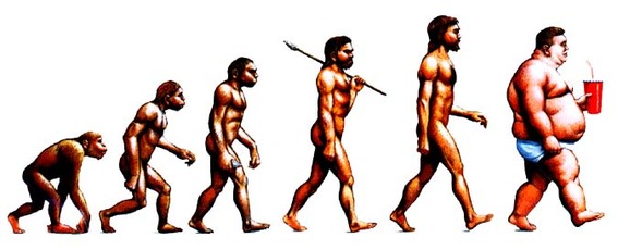 evolutie van de jager