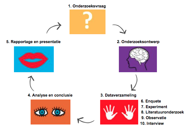 De vijf stappen van onderzoek.