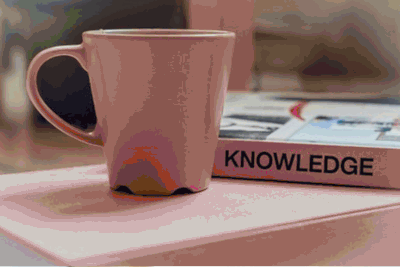 Kennisbank Professionalisering