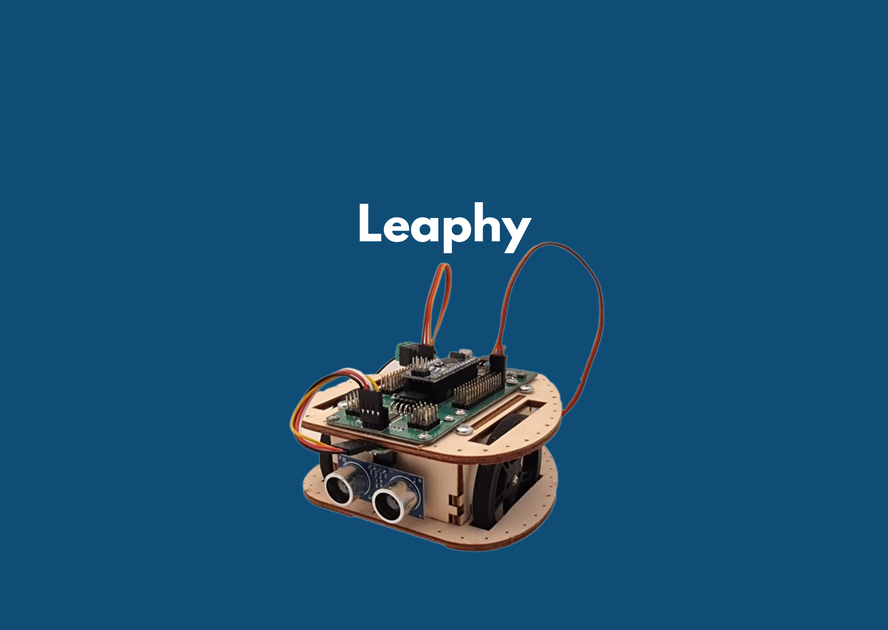 Leaphy