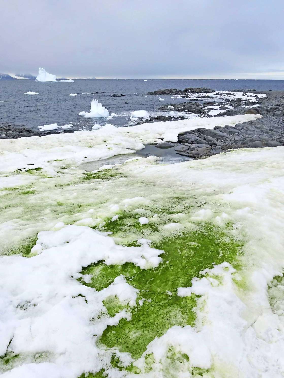 Anchorage Island, deel van Antartica