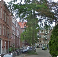 Google street view Opzoomerstraat, Rotterdam
