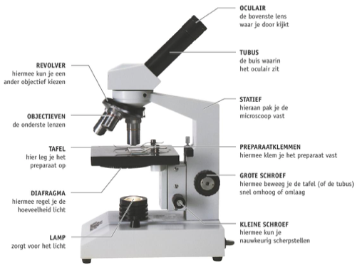 De microscoop