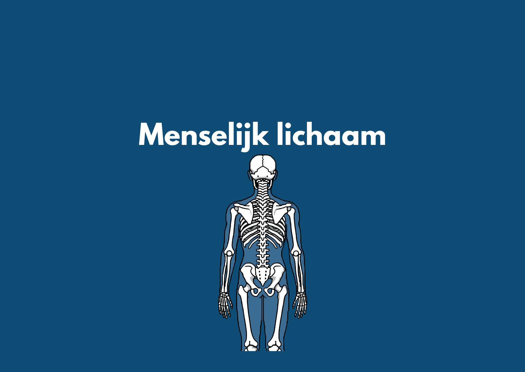 Menselijk lichaam