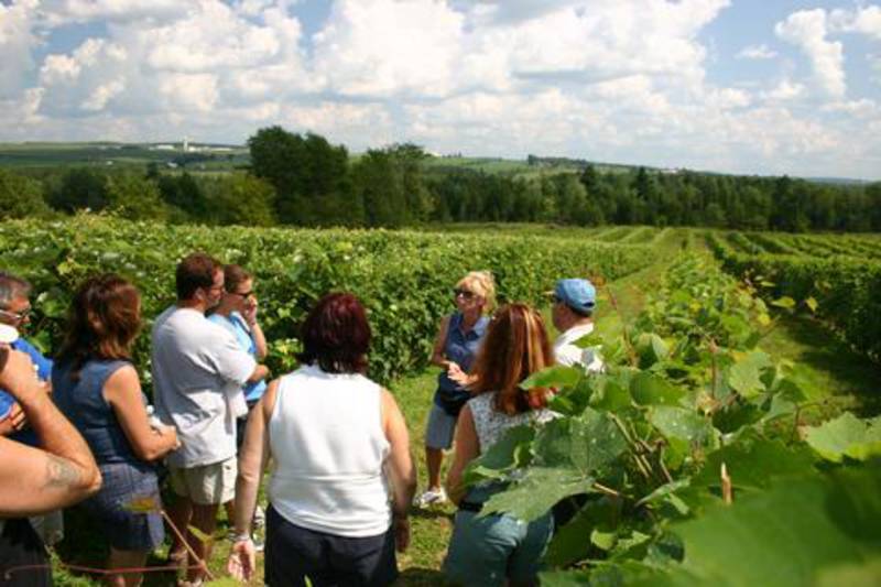 Visite chez un vigneron