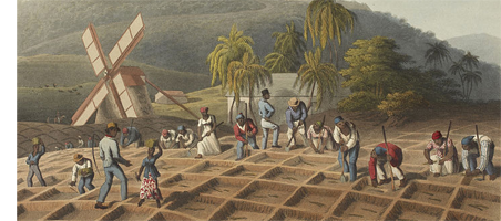 Geschiedenis Tijdvak 07 01 Slavenarbeid Op Plantages Wikiwijs Maken