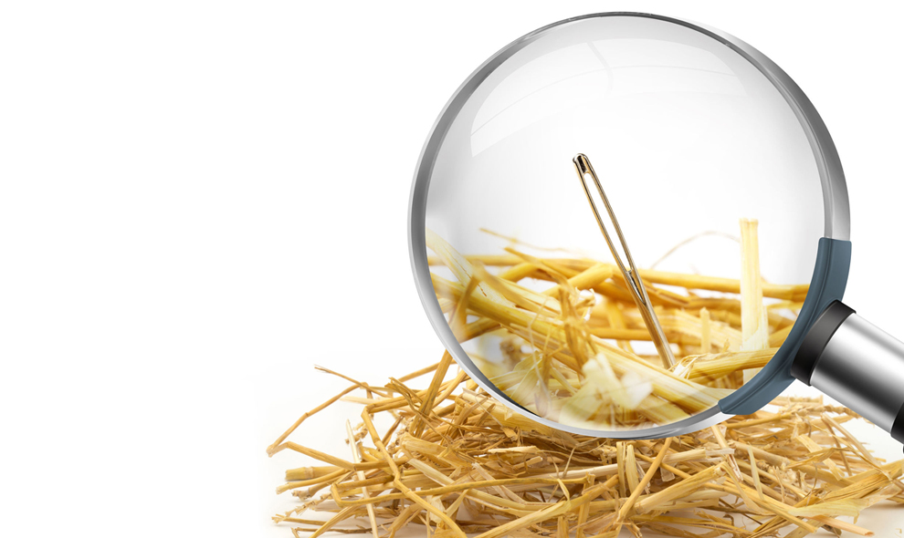 Speld in een hooiberg