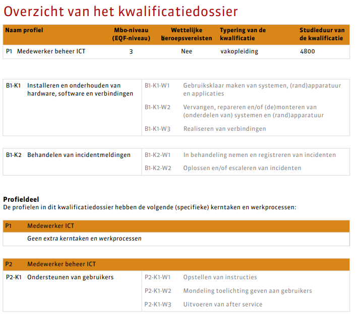 medewerker ict